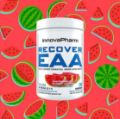 Picture of Innovapharm Recovery EEA Watermelon 555G